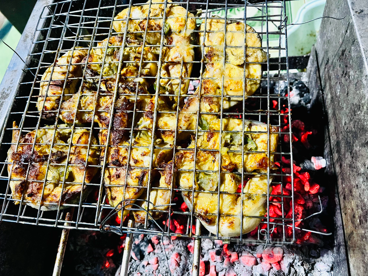 Nuoi thanh cong loai ca lang duoi do quy hiem tren song Serepok-Hinh-5