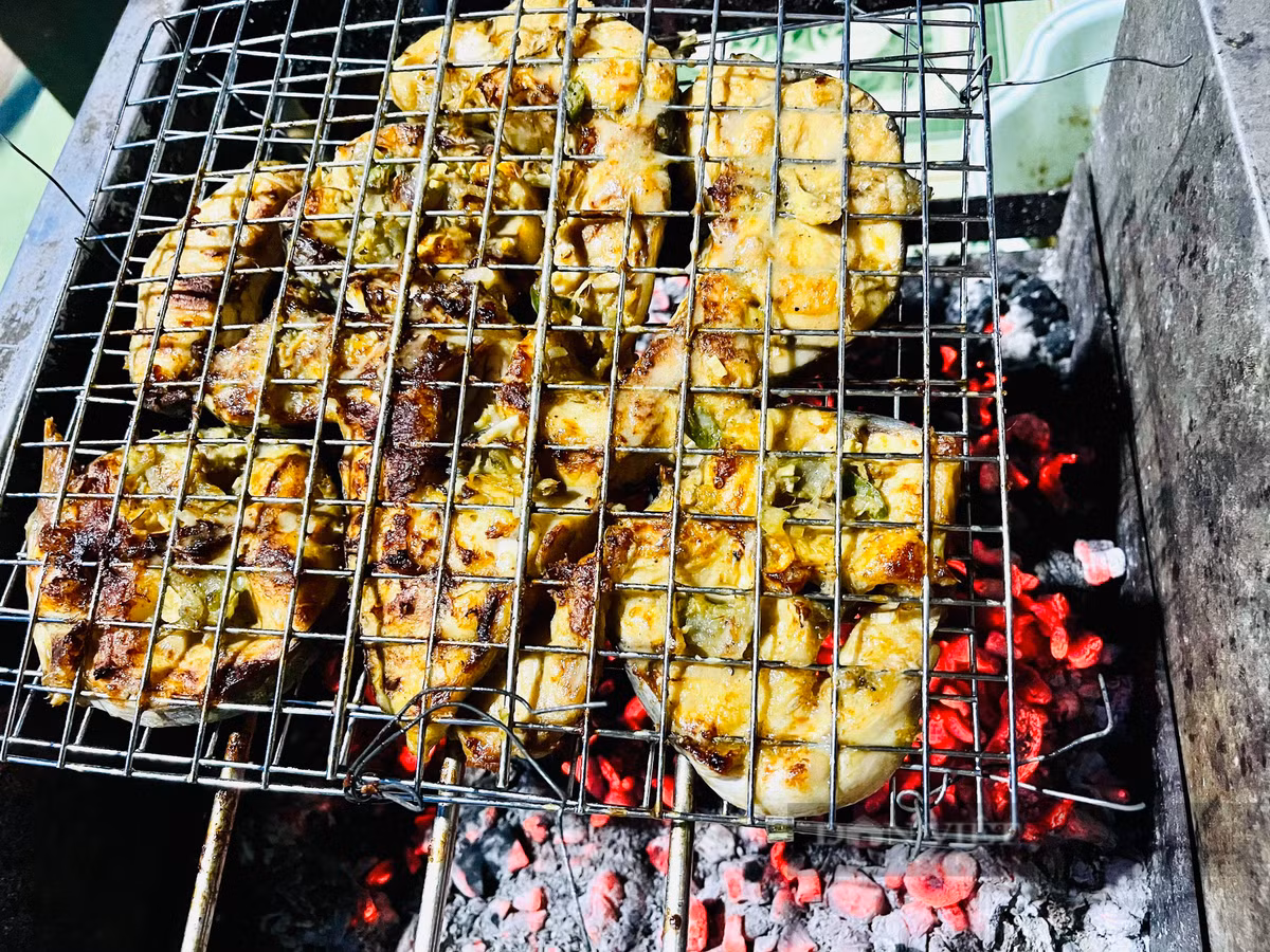 Nuoi thanh cong loai ca lang duoi do quy hiem tren song Serepok-Hinh-5