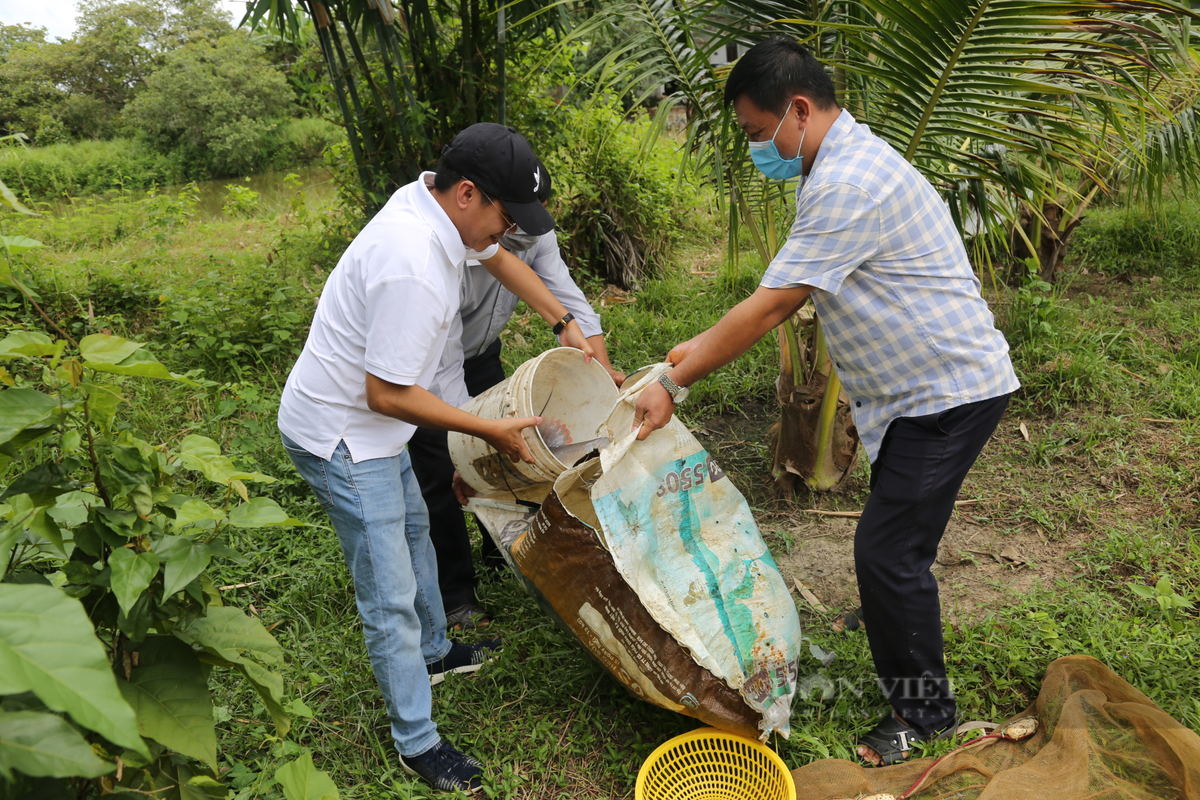 Nuoi thanh cong loai ca lang duoi do quy hiem tren song Serepok-Hinh-4