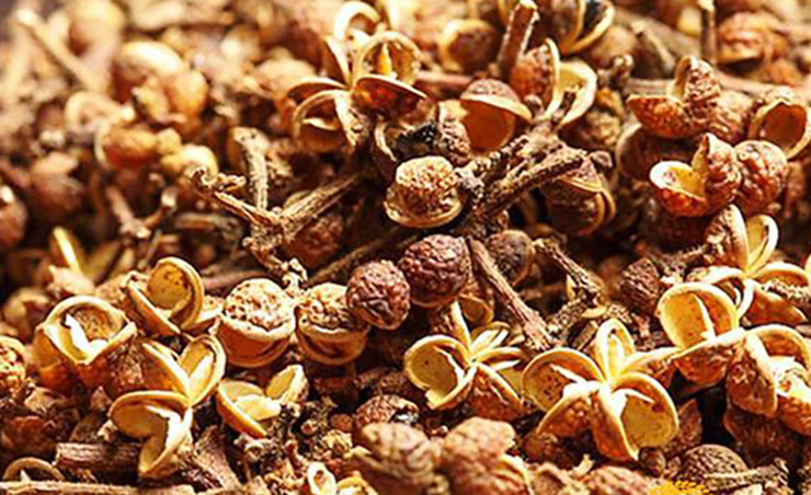 Hạt mắc khén thơm ngon, tê tê đầu lưỡi, không cay nồng như hạt tiêu của Tây Nguyên