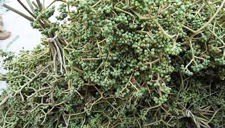 Nó được ví như là linh hồn của các món ăn dân tộc như chẳm chéo; canh bon, tẩm ướp thịt trâu, bò gác bếp, lạp xưởng, cá nướng, tiết canh dê... giúp các món ăn thêm lạ miệng và có mùi thơm nức mũi và hấp dẫn hơn.