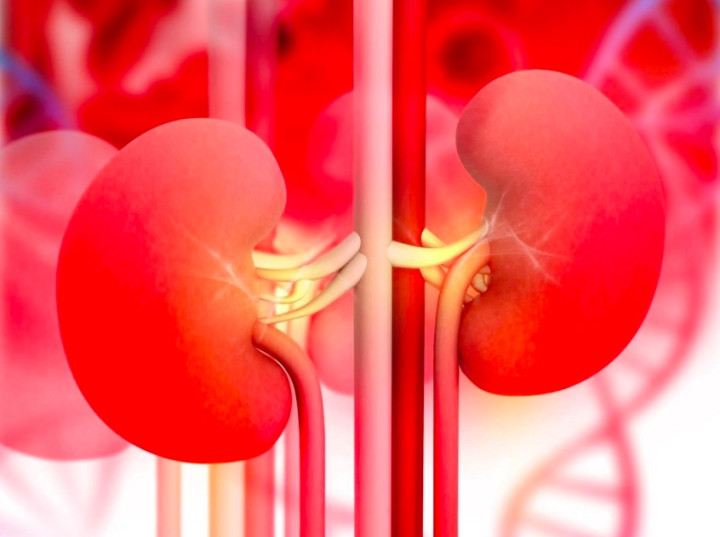 6 dau hieu som canh bao benh than, khi gap van de thi nen di kham ngay