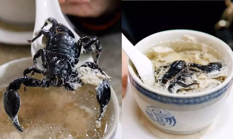 Súp rắn, bọ cạp - món ăn khiến du khách toát mồ hôi hột vì sợ Sup ran, bo cap - mon an khien du khach toat mo hoi hot vi so