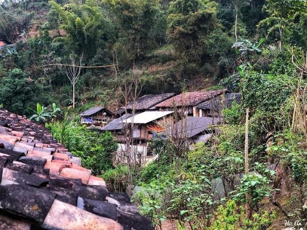 Say dam ve moc mac o ngoi lang co tram tuoi o Ha Giang-Hinh-8