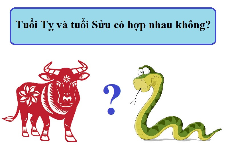 Sau khi kết hôn, hai con giáp này dễ nảy sinh mâu thuẫn. Đôi khi tranh cãi giữa họ bắt nguồn từ những chuyện không đâu, thậm chí không liên quan đến bản thân.