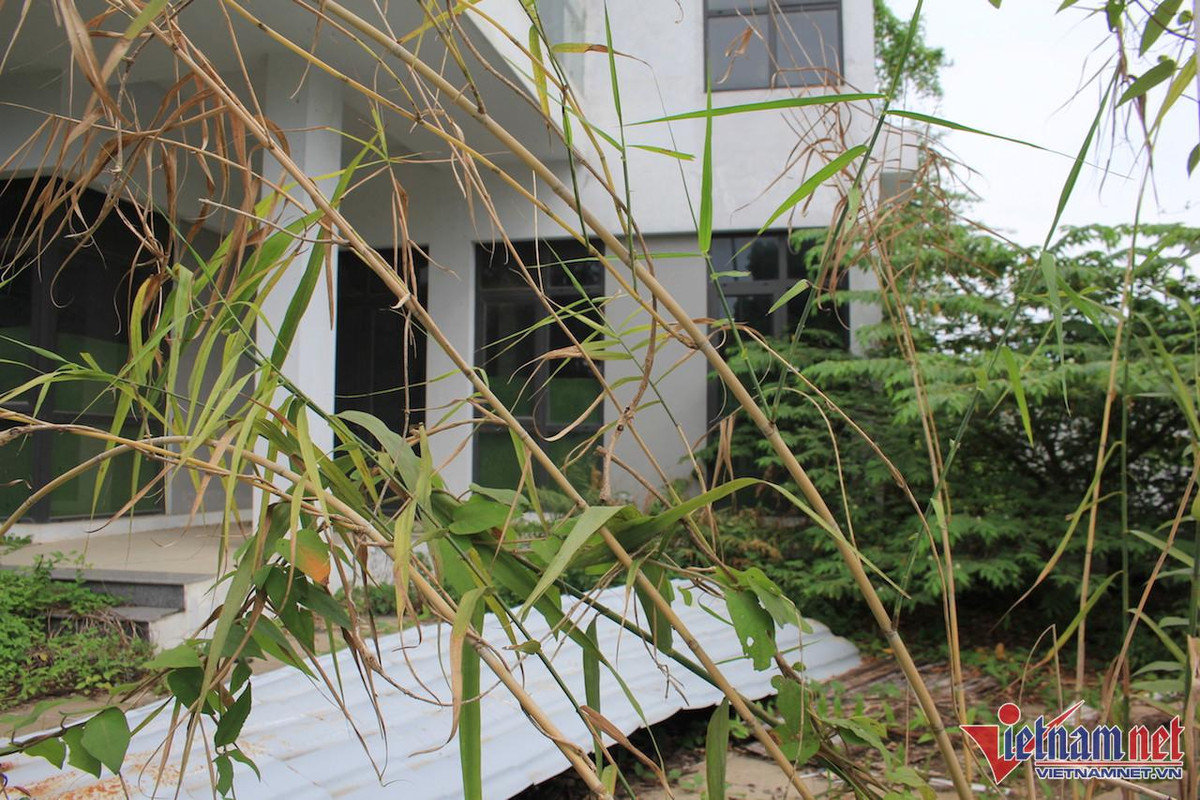 Hoang lanh trong khu do thi nghin ty cua 