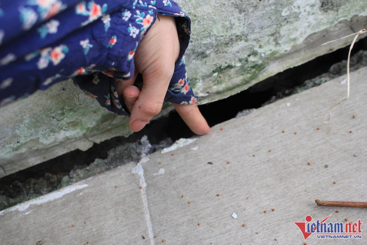 Hoang lanh trong khu do thi nghin ty cua 