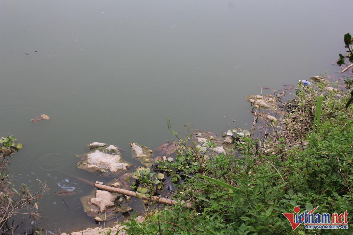 Hoang lanh trong khu do thi nghin ty cua 