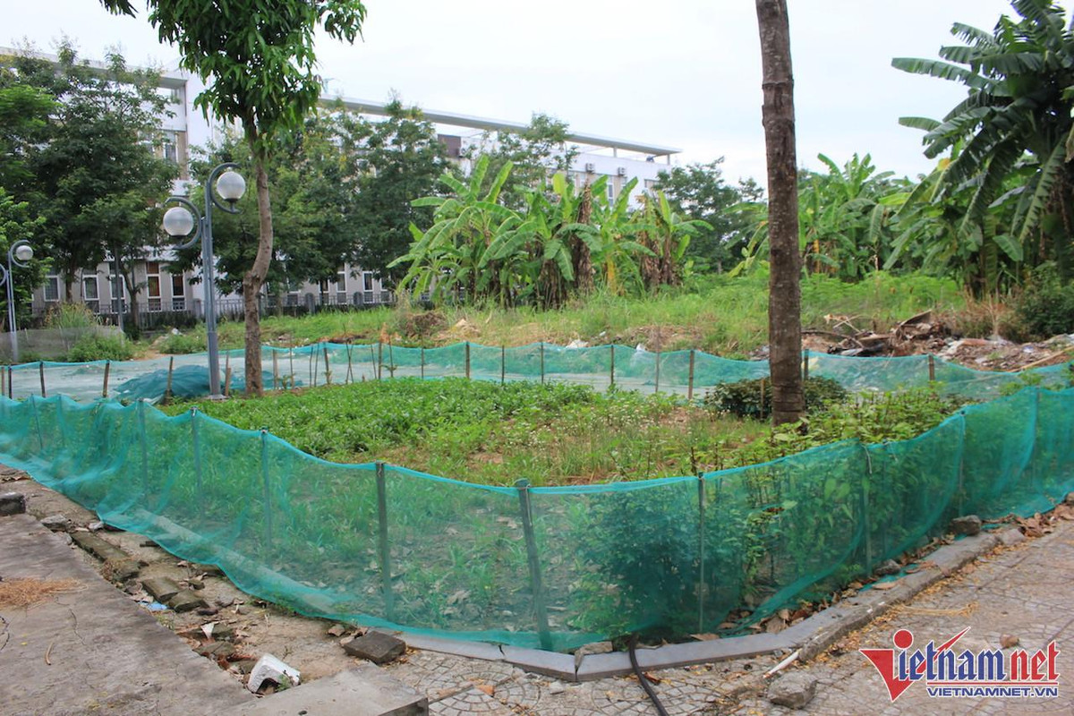 Hoang lanh trong khu do thi nghin ty cua 