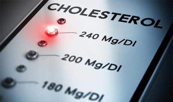 Phat hien bo phan chua cholesterol cao nhat, khong phai ruot lon-Hinh-4