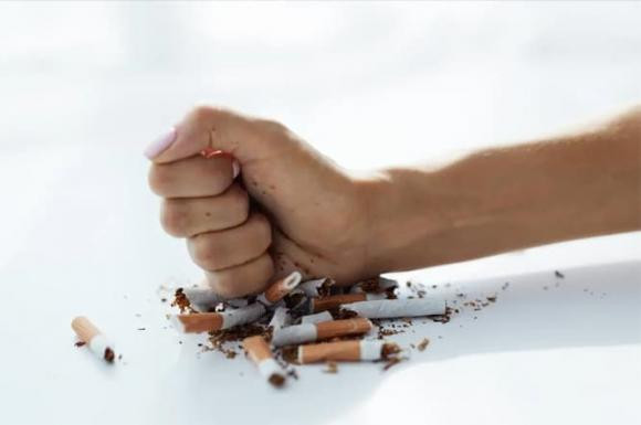 Phat hien bo phan chua cholesterol cao nhat, khong phai ruot lon-Hinh-5