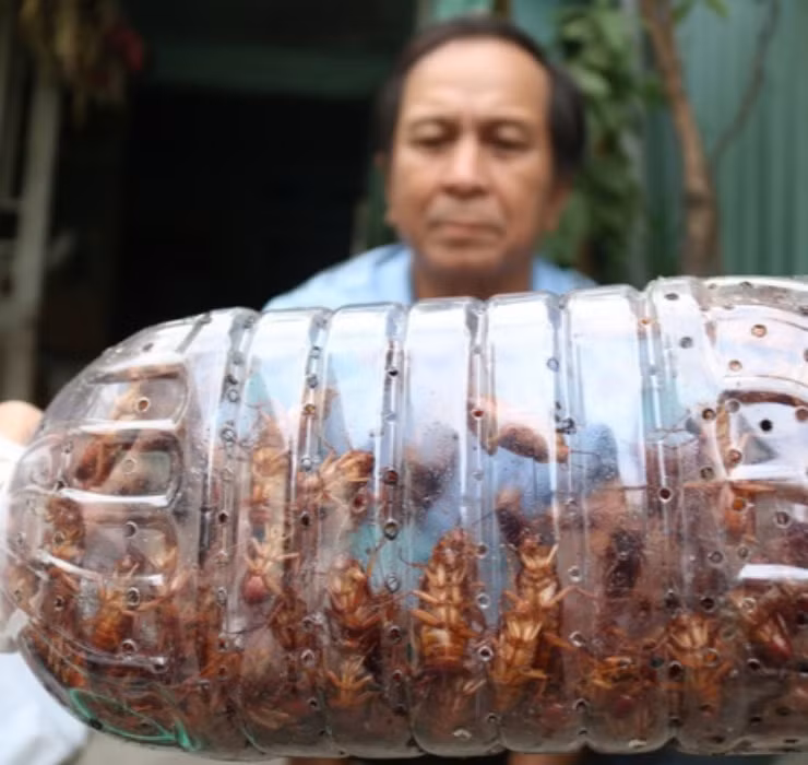 Nếu có khách đặt hàng, ông và vợ có thể kiếm được thu nhập khoảng 300 - 400.000 đồng/ngày.