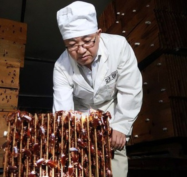 Toàn bộ trang trại là một không gian khép kín, không tiếp xúc với ánh nắng mặt trời và được điều hành tự động bằng công nghệ hiện đại.