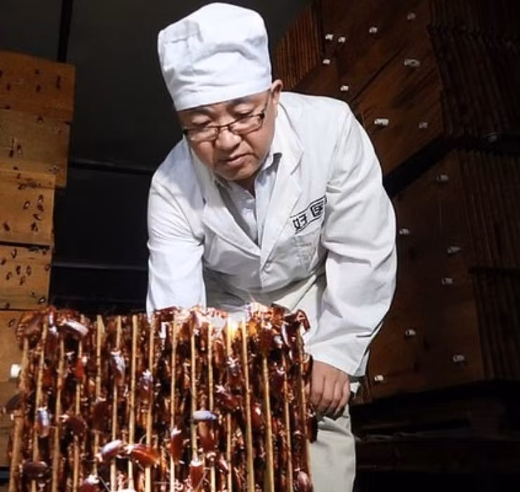 Toàn bộ trang trại là một không gian khép kín, không tiếp xúc với ánh nắng mặt trời và được điều hành tự động bằng công nghệ hiện đại.