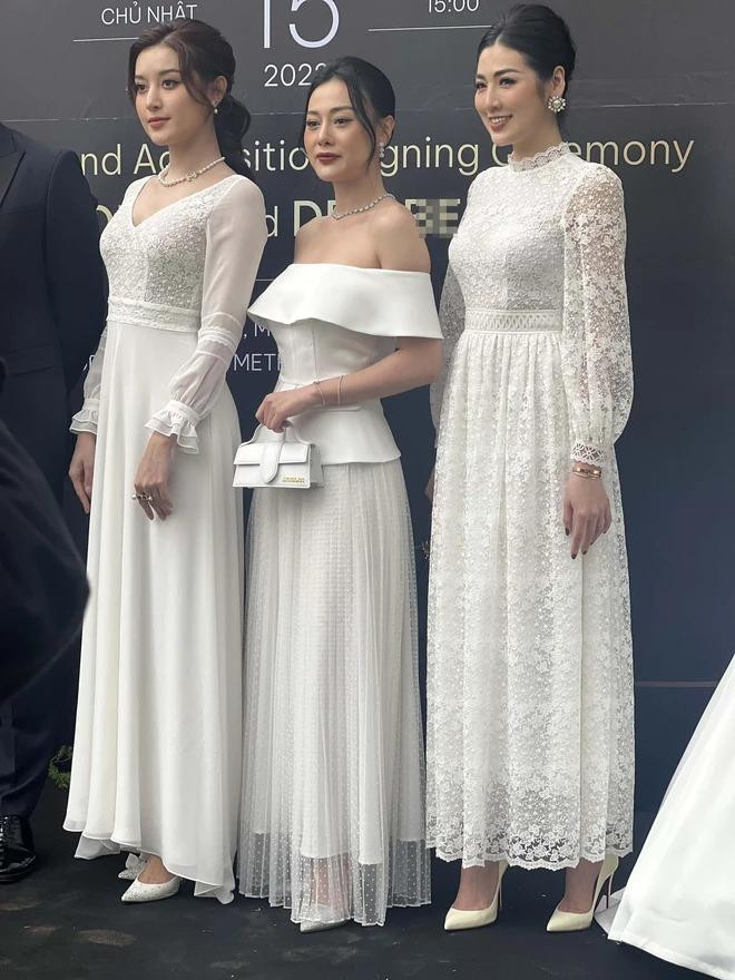 Phuong Oanh gia chat, tay to khi do anh cam thuong voi 2 a hau-Hinh-4