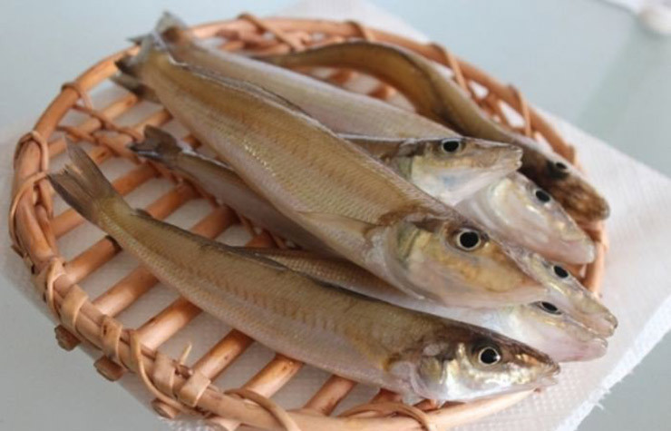 Loai ca o Viet Nam co ten nghe di, truoc re beo, nay la “mo vang”-Hinh-3