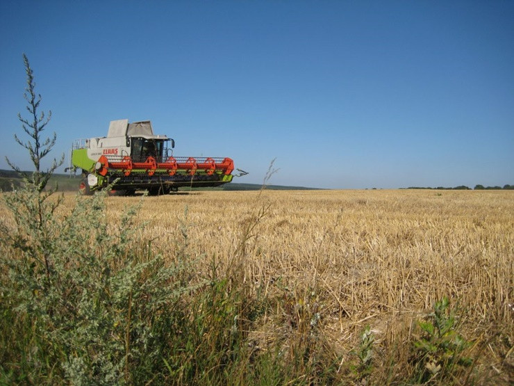 Ukraina được xem là vựa lúa của châu Âu khi nơi đây có nhiều mảnh đất màu mỡ, khoáng sản phong phú đặc biệt là nguồn khai thác khí đốt.