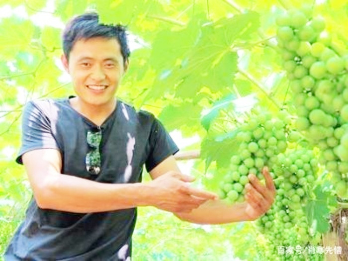 Đại gia đẩy con về quê sống, ai dè lớn lên, con thành phú ông kiếm tiền tỷ/năm Dai gia day con ve que song, ai de lon len, con thanh phu ong kiem tien ty/nam