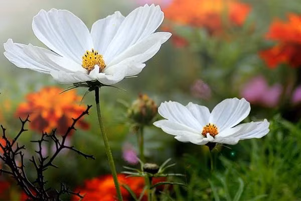 Sinh vao 6 ngay Am lich nay, quy nhan ghi nhan, tuong lai rong mo