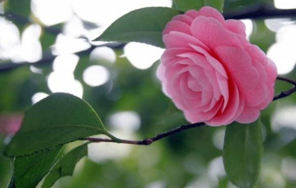 Nguoi sinh vao 7 ngay am lich nay duoc troi ban cho phuc khi, phu quy-Hinh-3