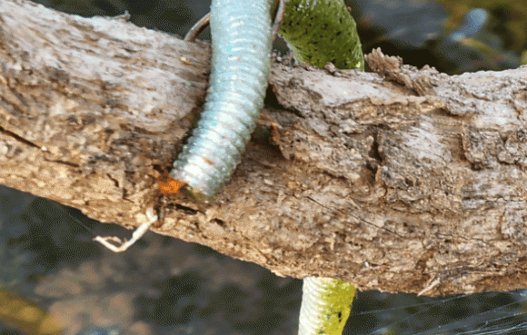 iPhone 14 xin xo nhung chua hoan hao, vi sao?-Hinh-4