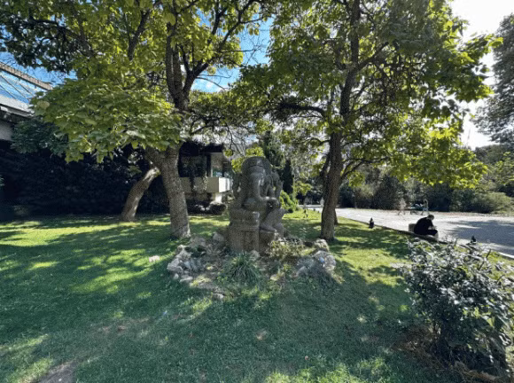 Danh gia iPhone 14 Pro Max sau mot tuan su dung-Hinh-11