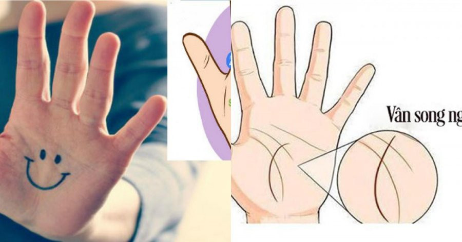 4 đường chỉ tay vừa lạ vừa hiếm chứng tỏ chủ nhân là người tài năng 4 duong chi tay vua la vua hiem chung to chu nhan la nguoi tai nang