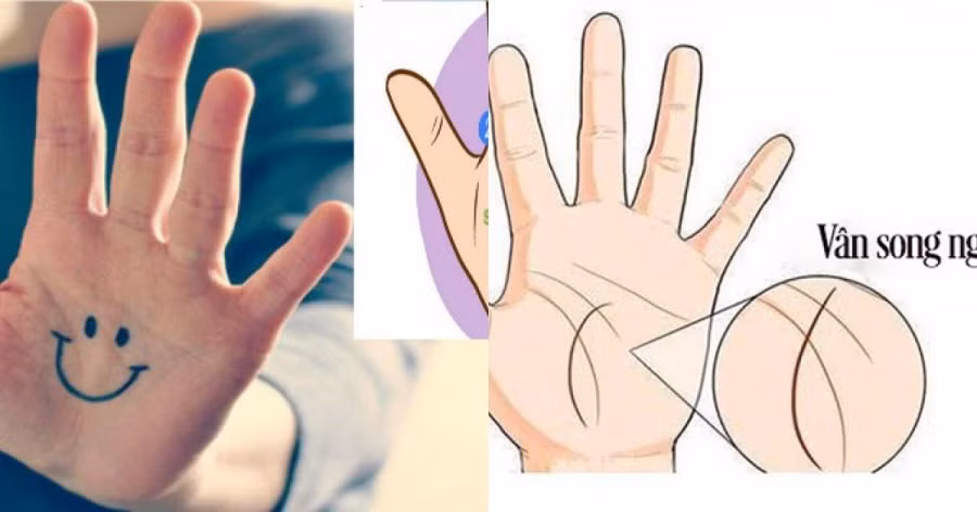 4 duong chi tay vua la vua hiem chung to chu nhan la nguoi tai nang