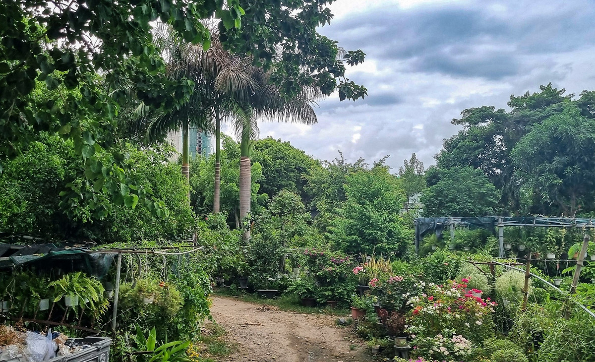 Phía trong khu đất này chủ yếu là cây cảnh. Trường Sĩ quan Không quân cho biết đơn vị đã thực hiện việc chấm dứt hợp đồng thuê đất đối với Công ty TNHH Tân Thành và Công ty CP Nam Khánh, đồng thời yêu cầu trả lại mặt bằng nhưng doanh nghiệp cố tình chây ỳ.