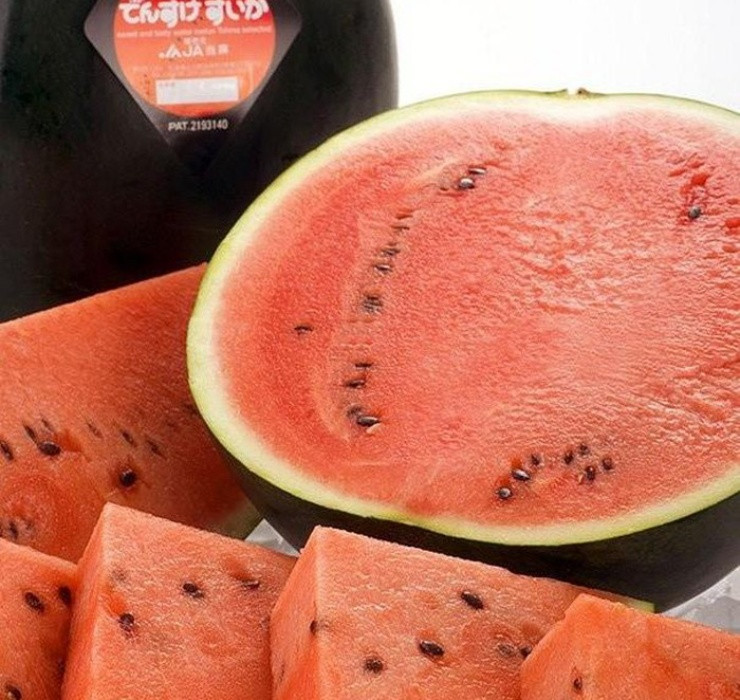 Chính vì những lý do trên, dưa hấu đen có mức giá cao đến khó tin, dao động từ vài trăm đến hàng nghìn USD/quả.