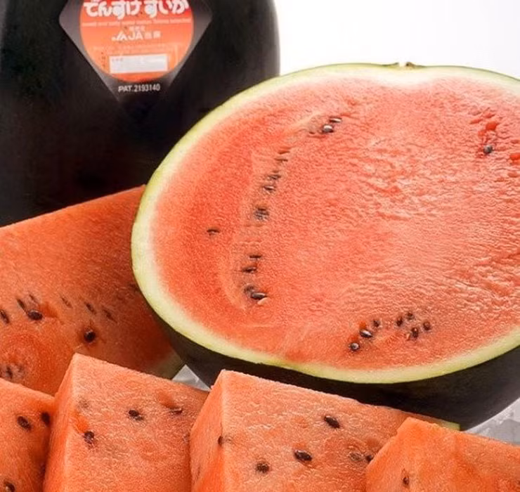 Chính vì những lý do trên, dưa hấu đen có mức giá cao đến khó tin, dao động từ vài trăm đến hàng nghìn USD/quả.