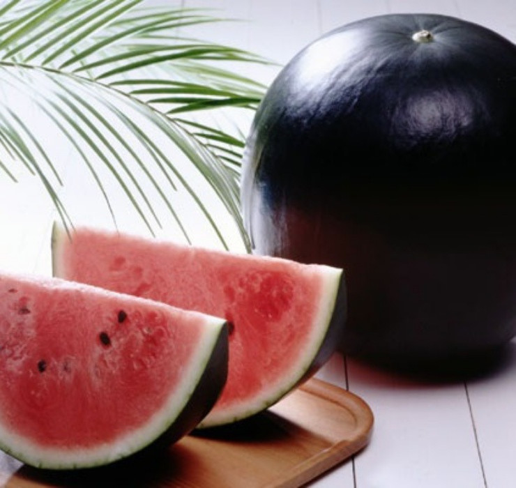 Dưa hấu Densuke gây ấn tượng với vỏ ngoài đen bóng, đi kèm với vị ngon ngọt hiếm thấy ở những giống trái cây khác. Đặc biệt, mỗi năm chỉ có khoảng 10.000 quả dưa hấu đen được thu hoạch trên toàn Nhật Bản.