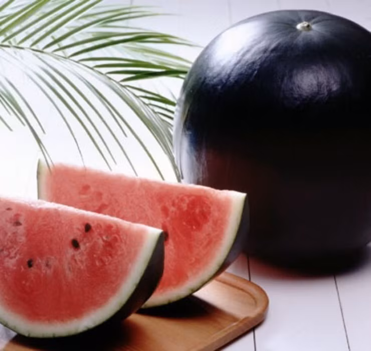 Dưa hấu Densuke gây ấn tượng với vỏ ngoài đen bóng, đi kèm với vị ngon ngọt hiếm thấy ở những giống trái cây khác. Đặc biệt, mỗi năm chỉ có khoảng 10.000 quả dưa hấu đen được thu hoạch trên toàn Nhật Bản.