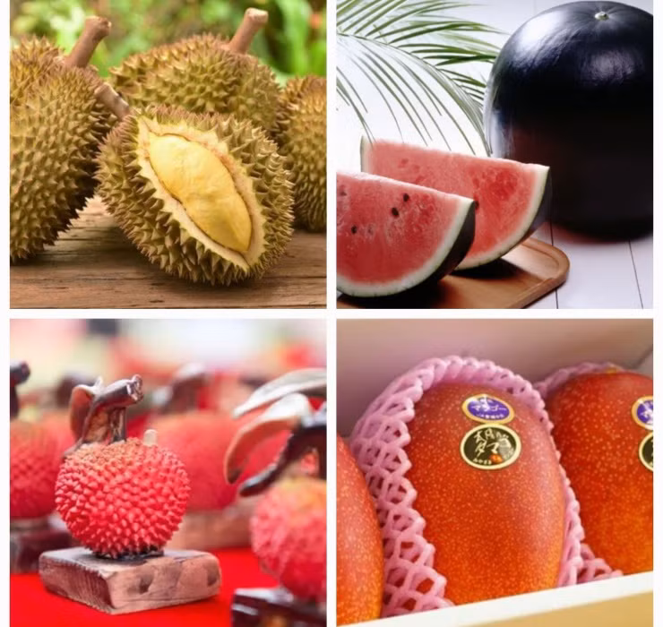 Nhung loai qua mua he dat ngang sieu xe, chi nha giau moi dam thu