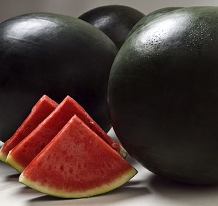Bên cạnh sầu riêng Kanyao, dưa hấu đen Densuke đến từ Nhật Bản cũng không kém cạnh khi sở hữu mức giá... trên trời.