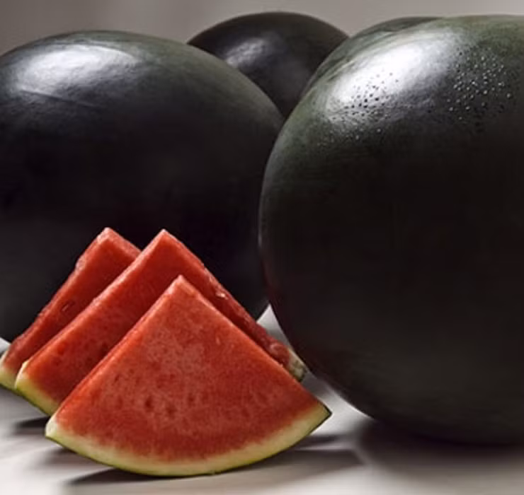 Bên cạnh sầu riêng Kanyao, dưa hấu đen Densuke đến từ Nhật Bản cũng không kém cạnh khi sở hữu mức giá... trên trời.