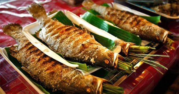 “Cá thần” tiến vua đắt đỏ ở Việt Nam: Thế giới chỉ 3 nước có ảnh 3 “Cá thần” tiến vua đắt đỏ ở Việt Nam: Thế giới chỉ 3 nước có ảnh 3