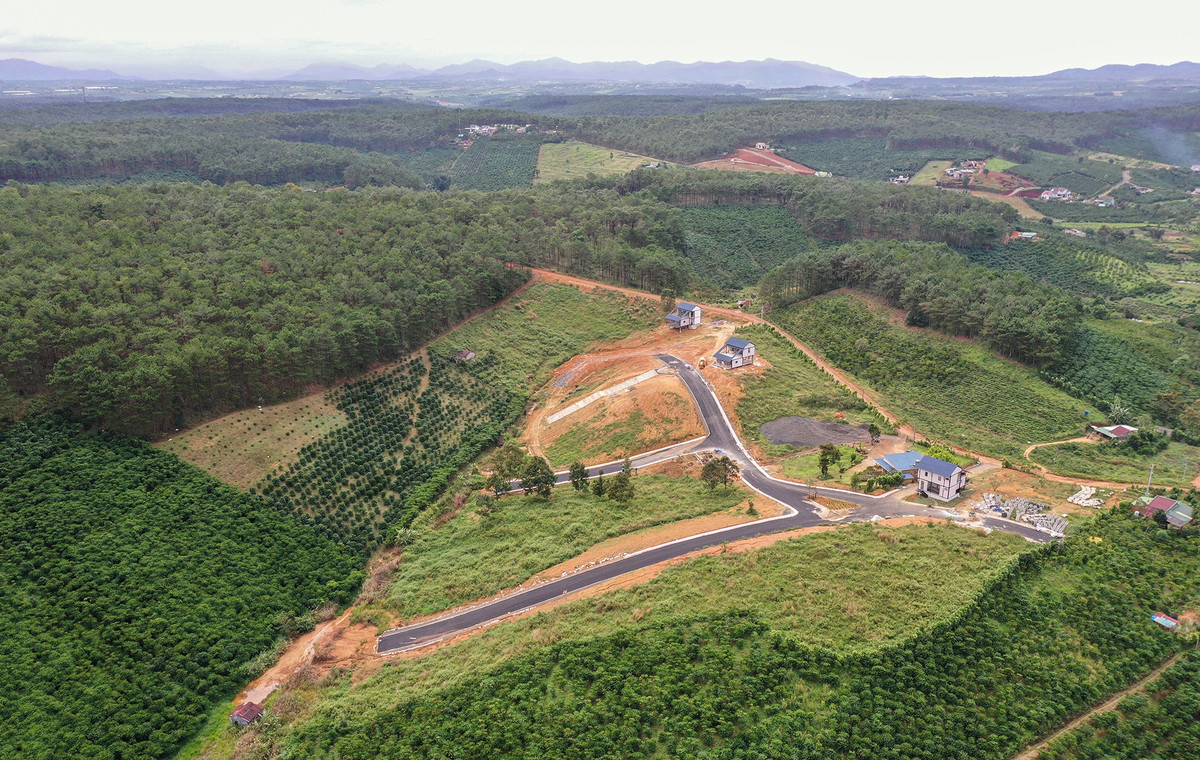 Trong hai ngày 4 và 5/1, cơ quan chức năng tỉnh Lâm Đồng tổ chức kiểm tra, xác minh thông tin về dự án bất động sản The Tropicana Garden 1 và 2. Đoàn liên ngành do Sở Xây dựng tỉnh Lâm Đồng chủ trì sẽ xác minh các thông tin đầu tư của chủ đầu tư; việc đầu tư các hạng mục công trình tại khu vực; tách thửa, hiến đất mở đường và các thông tin về quy hoạch, kế hoạch sử dụng đất, chuyển đổi sử dụng đất…