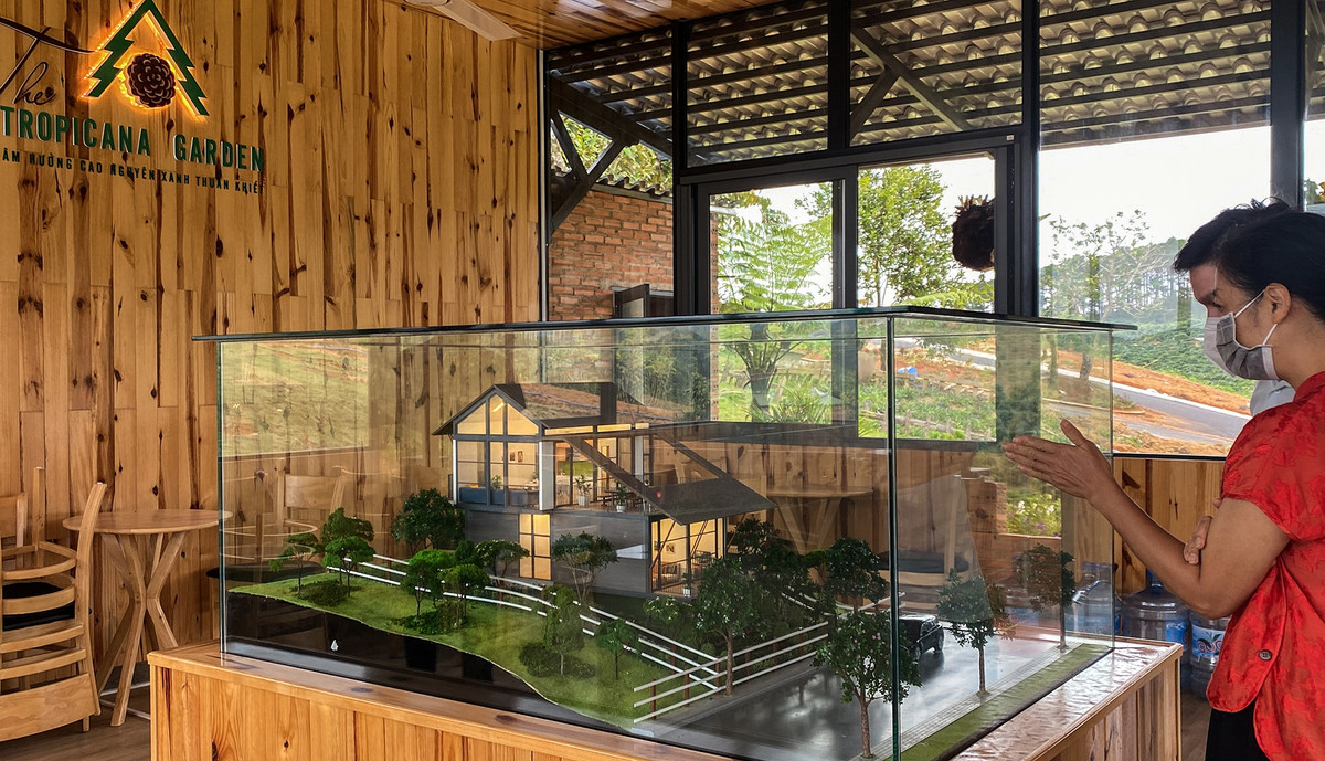 Dù chưa hoàn thiện hạ tầng cơ sở, nhiều khách hàng từ TP.HCM, Hà Nội, Hải Phòng, Bình Dương... đã đến xem, tham quan dự án.