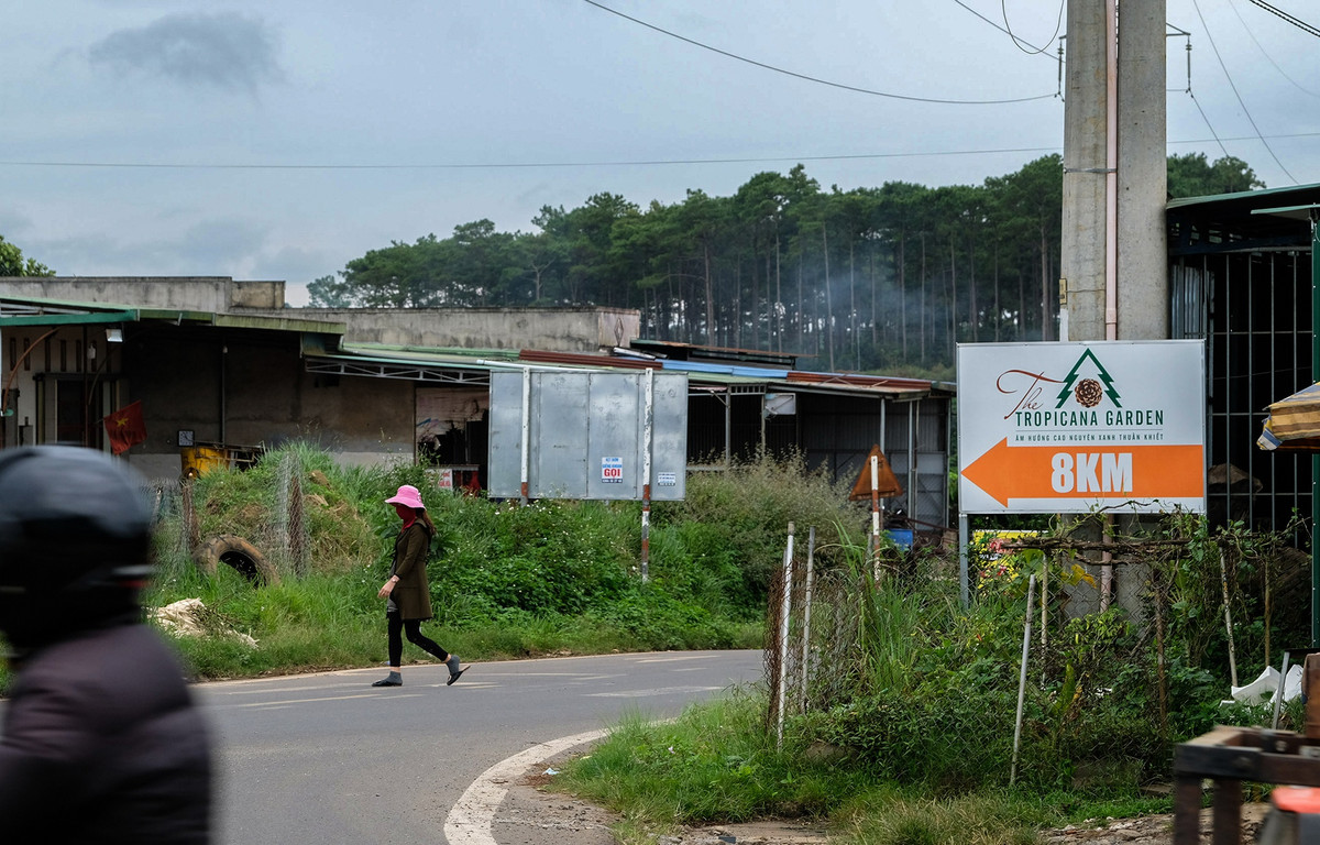 Bảng chỉ dẫn đi vào “dự án” The Tropicana 1 và 2 được đặt tại một số tuyến đường trên địa bàn huyện Bảo Lâm.