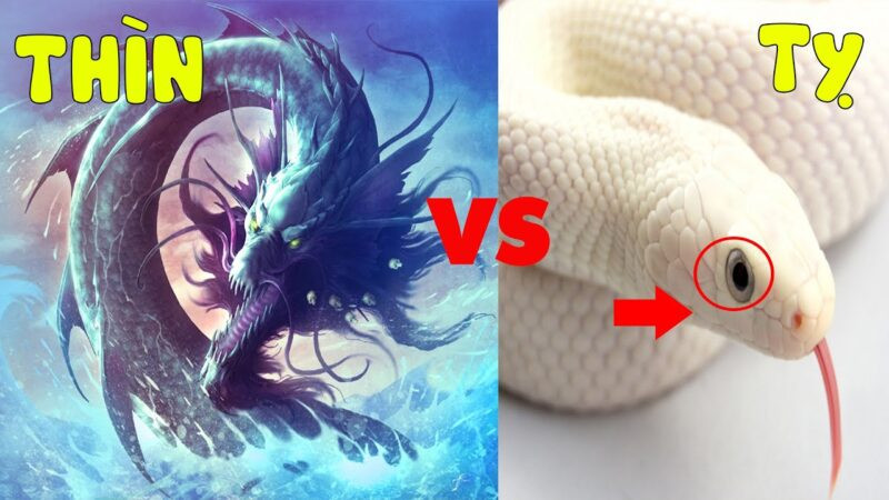 Tuổi Tỵ có tính vội vã, muốn gì thì sẽ làm cho bằng được và đôi khi sẽ không thể tránh khỏi những vấp ngã không đáng có.