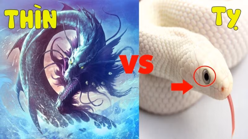 Tuổi Tỵ có tính vội vã, muốn gì thì sẽ làm cho bằng được và đôi khi sẽ không thể tránh khỏi những vấp ngã không đáng có.