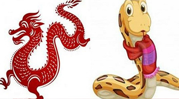  Tuổi Thìn và tuổi Tỵ. Về cơ bản, Thìn và Tỵ có bản chất khá giống nhau. Họ đều là những con giáp kiên cường và luôn tự tin vào bản thân của mình. Nếu kết hợp lại, Thìn – Tỵ rõ ràng có khả năng tạo ra những thành công vang dội mà chưa chắc con giáp khác có thể làm được. 