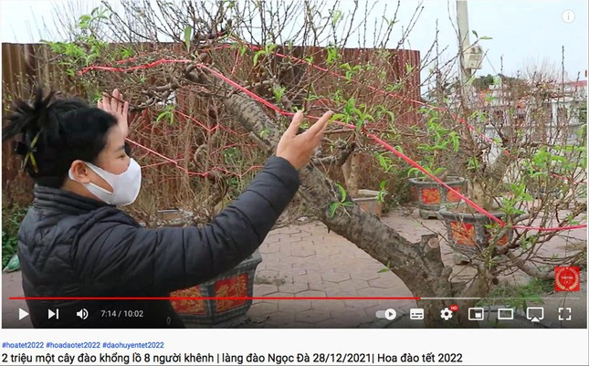 Hoa, cay canh Tet: Ngong ca khach mua lan khach thue