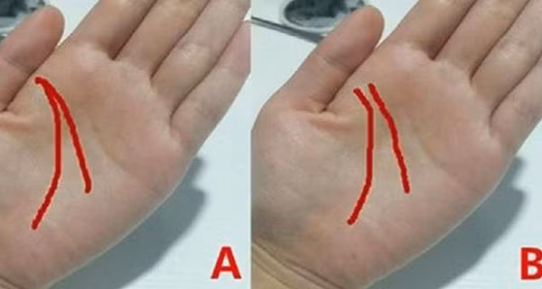 Xoe ban tay nhin 2 duong chi biet ngay van menh: Cuoc doi giau sang hay mai ban han