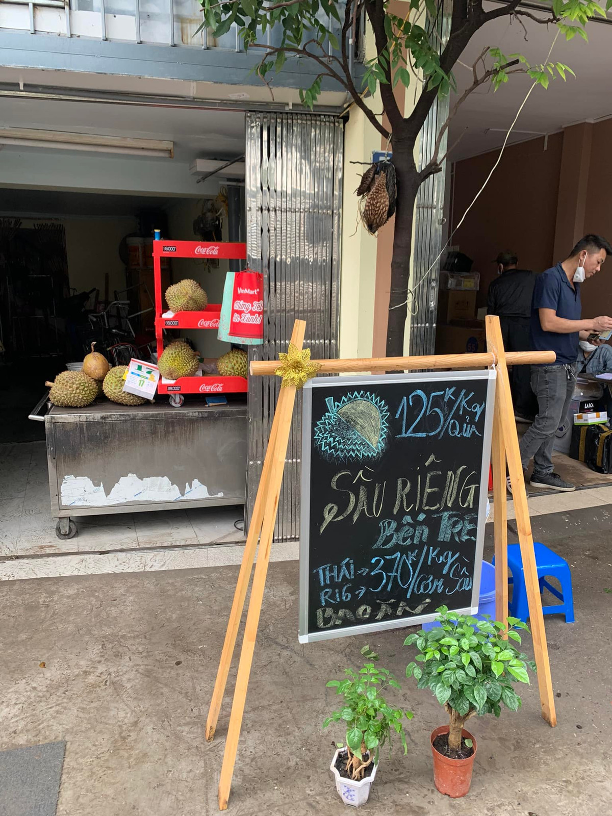 Giá sầu riêng tăng mạnh nhất ở Tiền Giang, đắt gấp ba lần năm trước - Hình 5 Gia sau rieng tang manh nhat o Tien Giang, dat gap ba lan nam truoc-Hinh-5