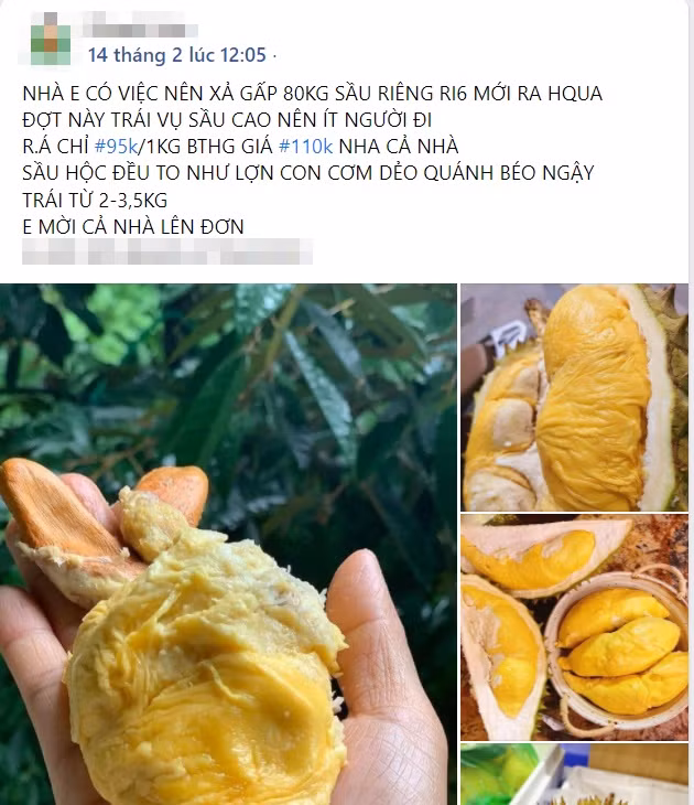 Gia sau rieng tang manh nhat o Tien Giang, dat gap ba lan nam truoc-Hinh-7