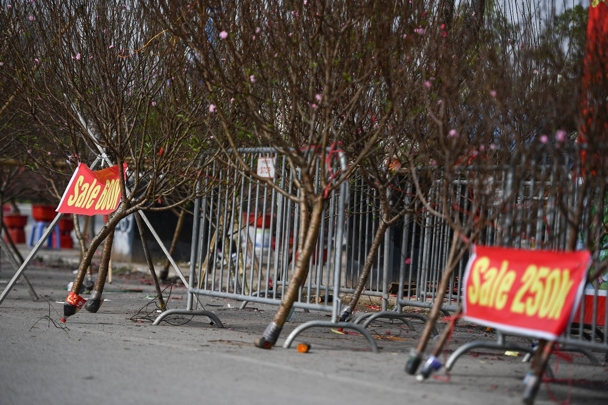Nhiều tiểu thương, nhà vườn bán đào, quất trên đường Lê Quang Đạo (quận Nam Từ Liêm, Hà Nội) đã phải treo biển hạ giá, đồng giá để mong thu hồi vốn, sớm được về quê. "Năm nay kinh doanh ảm đạm. Tôi treo biển hạ giá cách đây 2-3 hôm, nhờ đó lượng khách tới hỏi mua cũng nhiều hơn", anh Dũng (tiểu thương bán đào) chia sẻ.