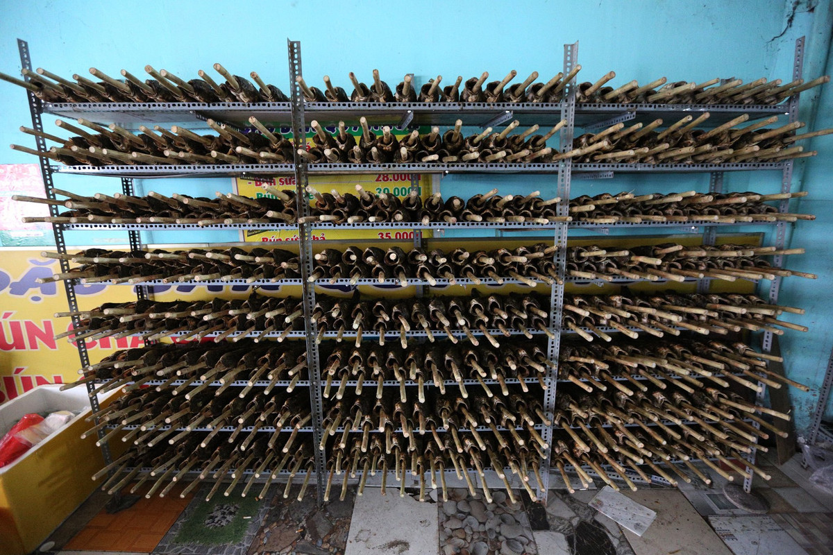 Kệ cá lóc của gia đình chị Thi vẫn chật hàng sáng sớm nay. Chị cho biết từ tối 9/2 đến sáng nay bán được khoảng 200 con.