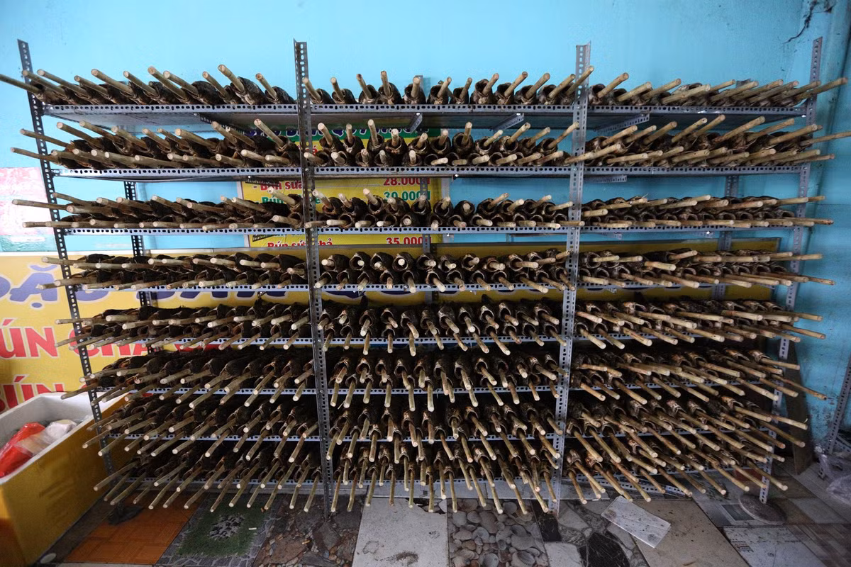 Kệ cá lóc của gia đình chị Thi vẫn chật hàng sáng sớm nay. Chị cho biết từ tối 9/2 đến sáng nay bán được khoảng 200 con.